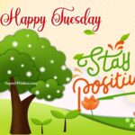 Stay positive. Happy Tuesday morning images. Superbwishes.com