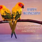 Happy Wednesday images. Superbwishes.com