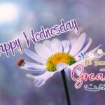 Happy Wednesday flowers. Superbwishes.com