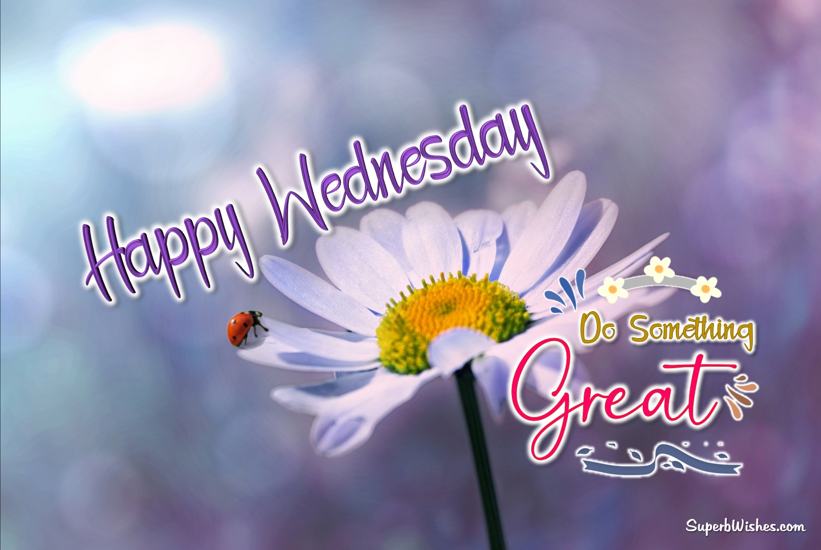 Happy Wednesday flowers. Superbwishes.com