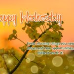 Pics of Happy Wednesday. Superbwishes.com