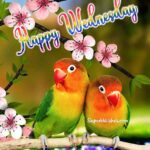 Happy Wednesday images. Superbwishes.com