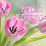 Happy Wednesday flowers images. Superbwishes.com