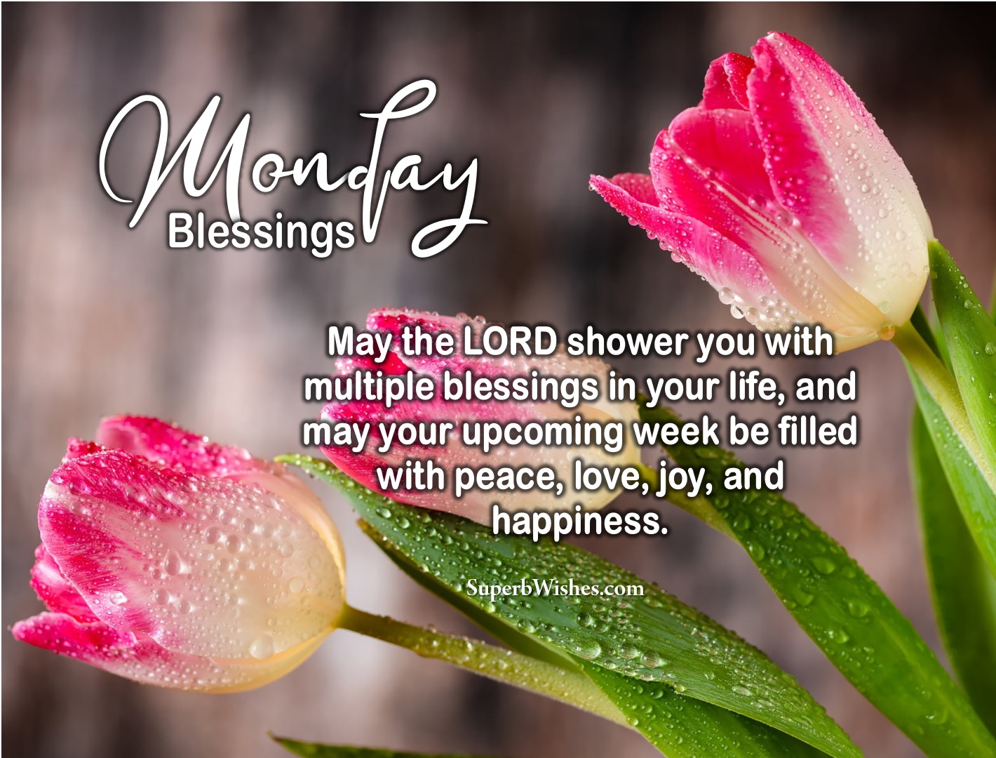Monday blessings images. Superbwishes.com