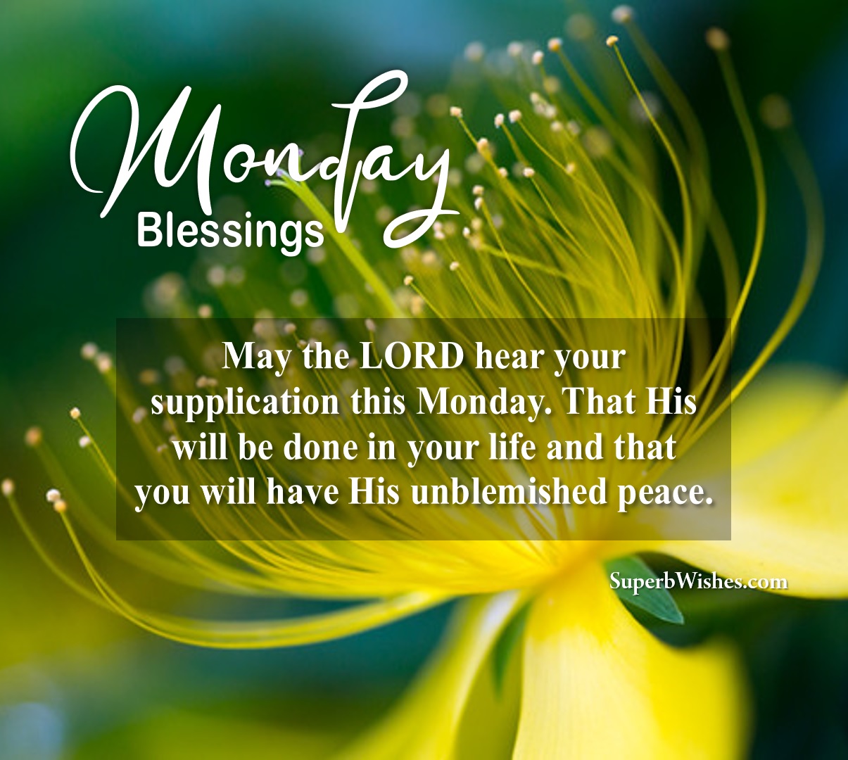 Monday blessings quotes. Superbwishes.com