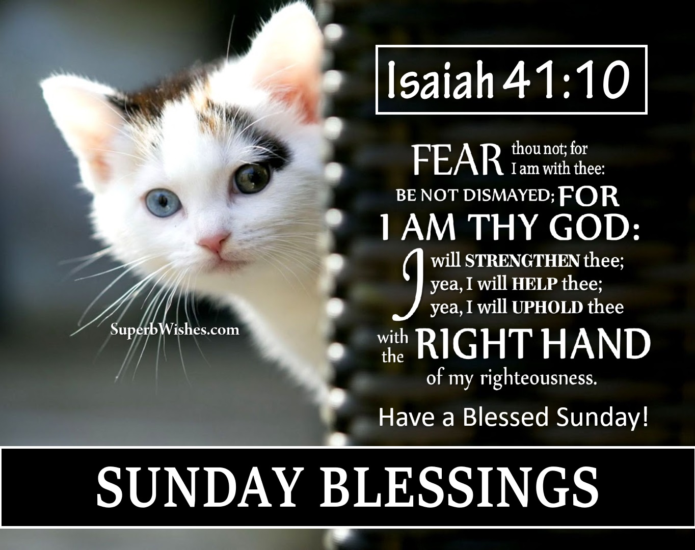 Bible verse blessed Sunday. Superbwishes.com