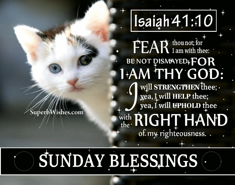 Sunday Blessings Animated Bible Verse GIF Image Isaiah 41:10 | SuperbWishes