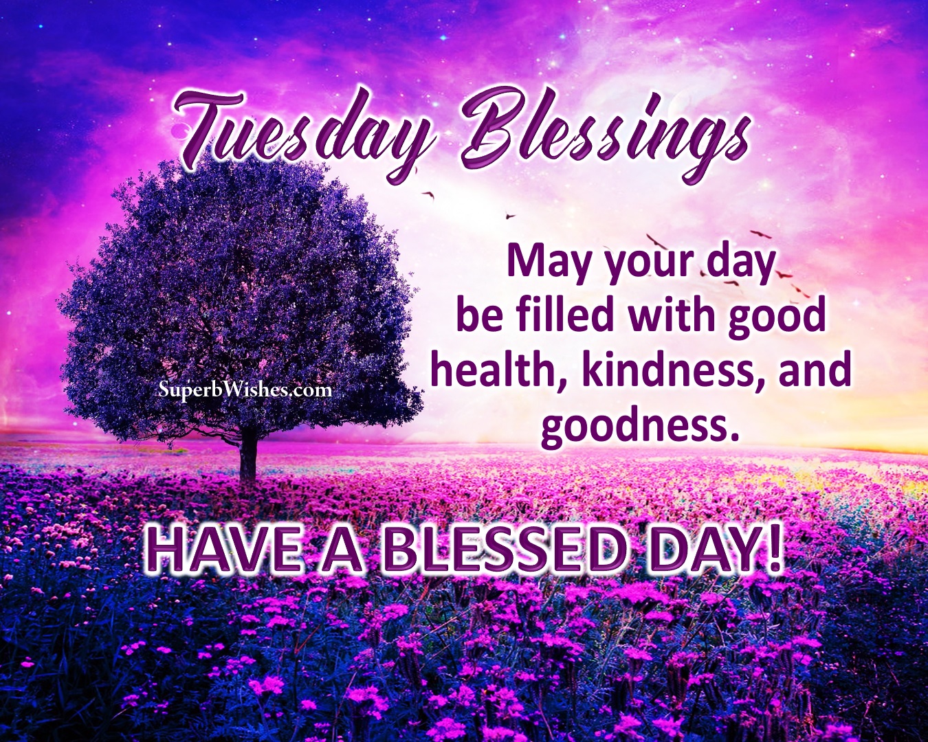 Have a blessed Tuesday images and quotes. Superbwishes.com