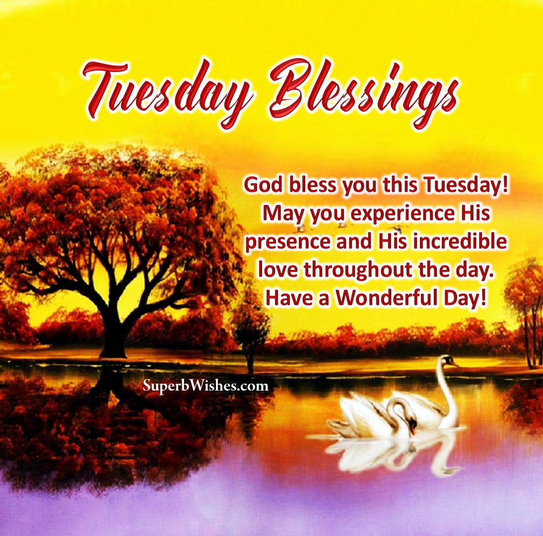 Tuesday Blessings 2023 Images - God Bless You! | SuperbWishes.com