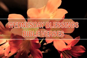 Wednesday Blessings Bible Verses