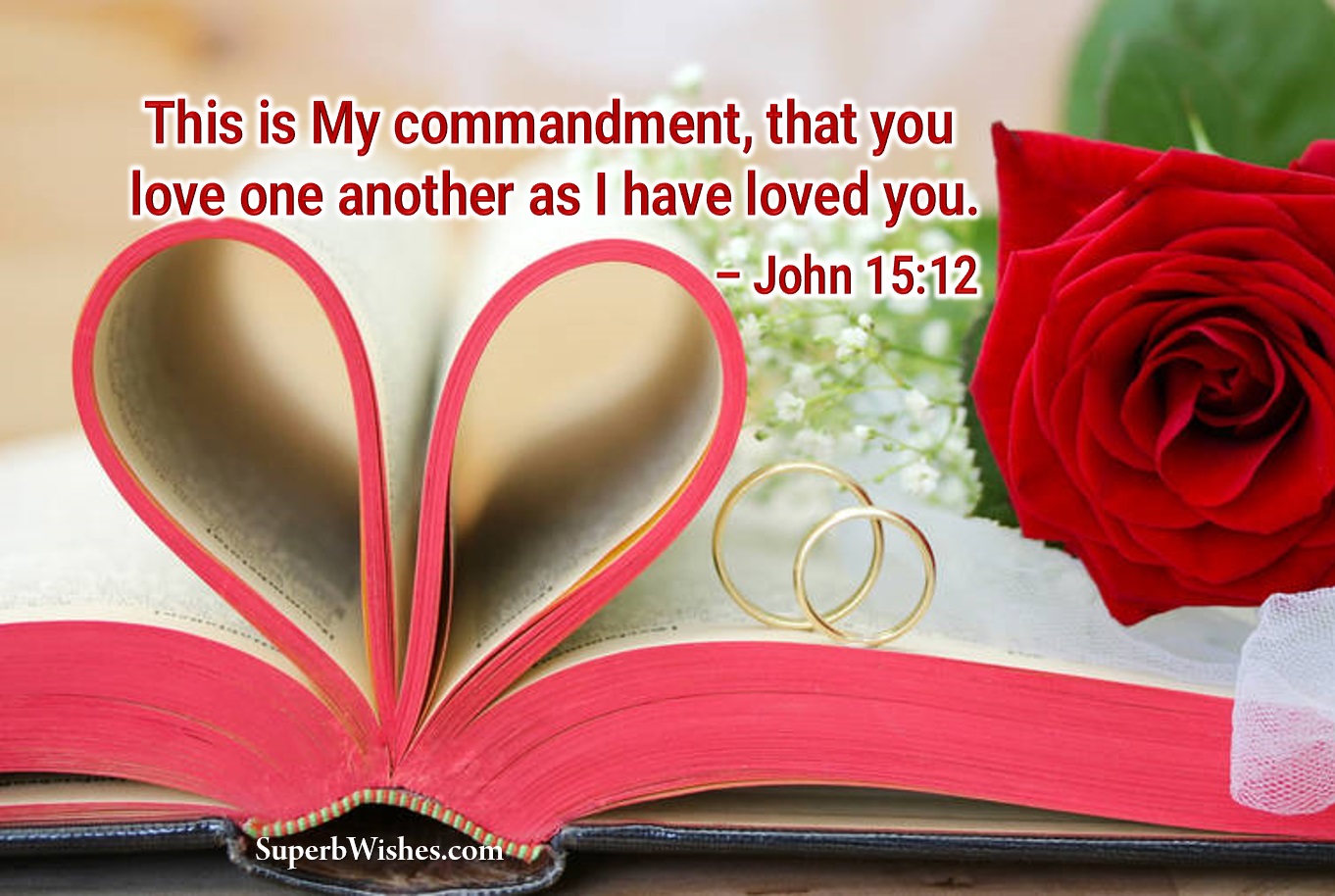 Wedding Bible Verses John 15-12