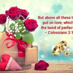 Wedding Bible Verses Colossians 3-14