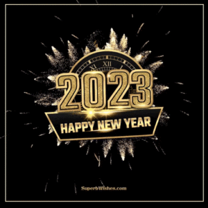 Happy New Year GIFs