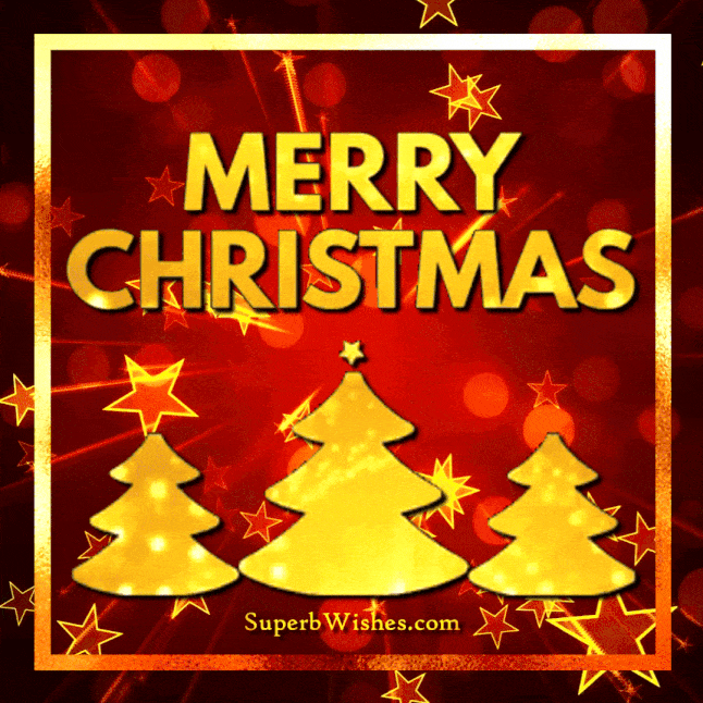 Golden Merry Christmas Tree with Animated Stars GIF | SuperbWishes