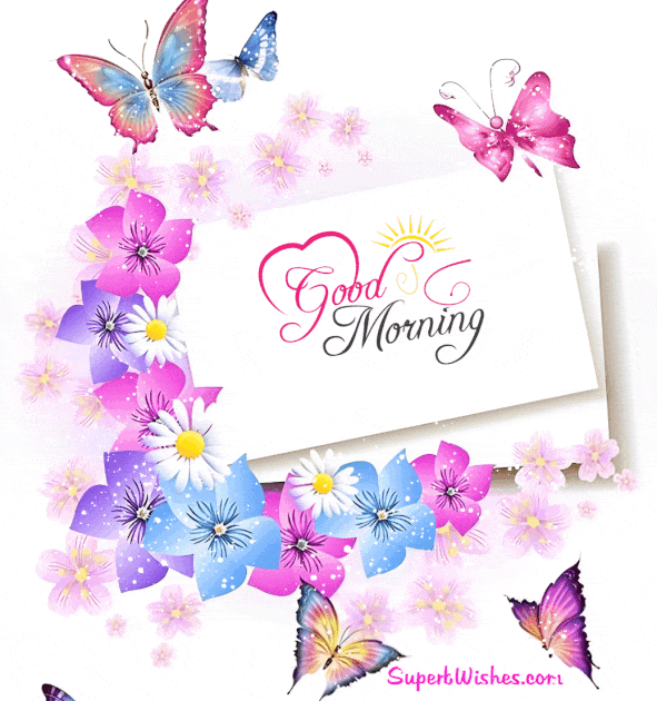 Good Morning Animated GIF With Beautiful Butterflies | SuperbWishes