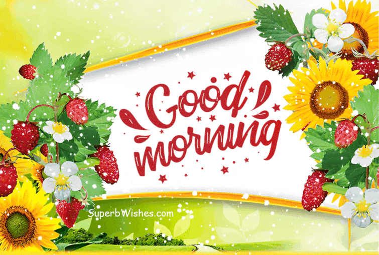 Good Morning Animated GIF With Colorful Flowers 