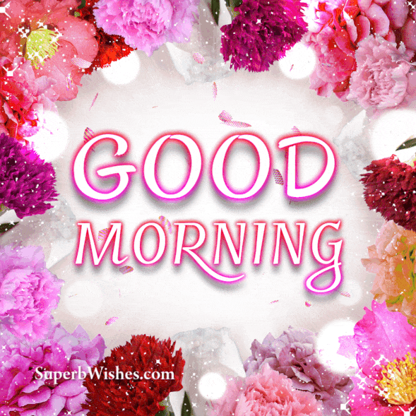 Fantastic Good Morning Glitter GIF With Falling Rose Petals | SuperbWishes