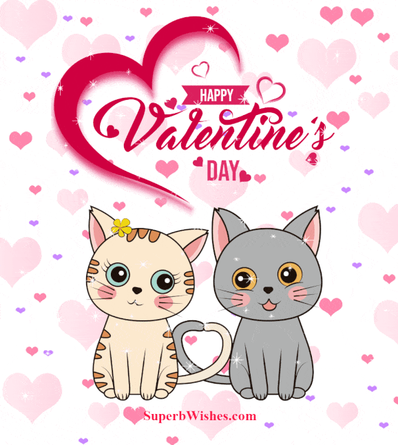 Happy Valentine's day cat GIF