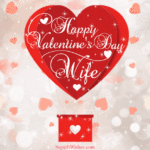 Happy Valentine's Day Wife GIF
