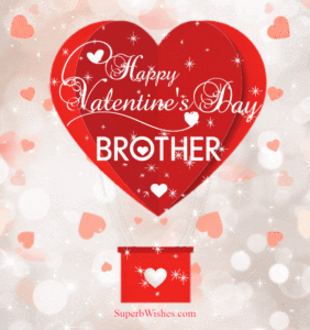 Happy Valentine's Day Brother GIF