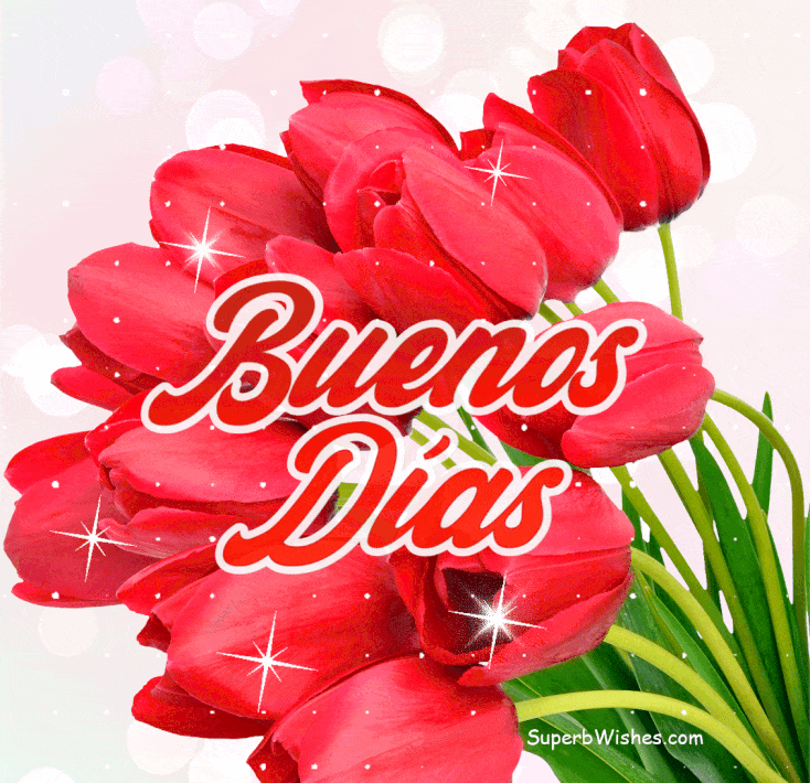  Buenos Días GIF Brillo con Hermosos Tulipanes Rojos | SuperbWishes