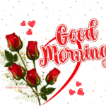 Good Morning GIF with Red Tulips