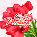 Good Morning GIF with Red Tulips