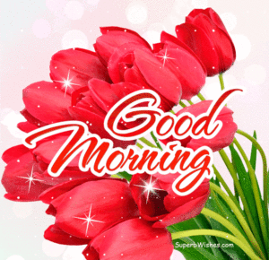 Good Morning GIF with Red Tulips