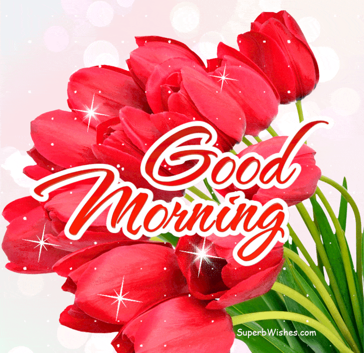 Good Morning Glitter Gif With Beautiful Red Tulips | Superbwishes.Com