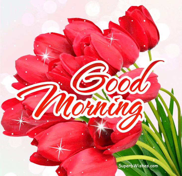 Good Morning Animated Glitter Graphics Happy Tuesday Graphics Gif Good Morning Animated Glitter Graphics Happy Tuesday Graphics Gif