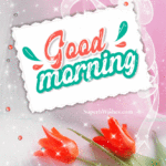 Good Morning GIF Image