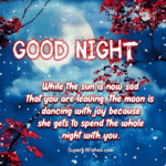 Special Good Night Wishes Animated GIF