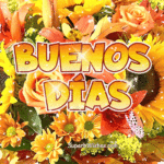 Buenos Días GIF Animado Con Flores de Colores