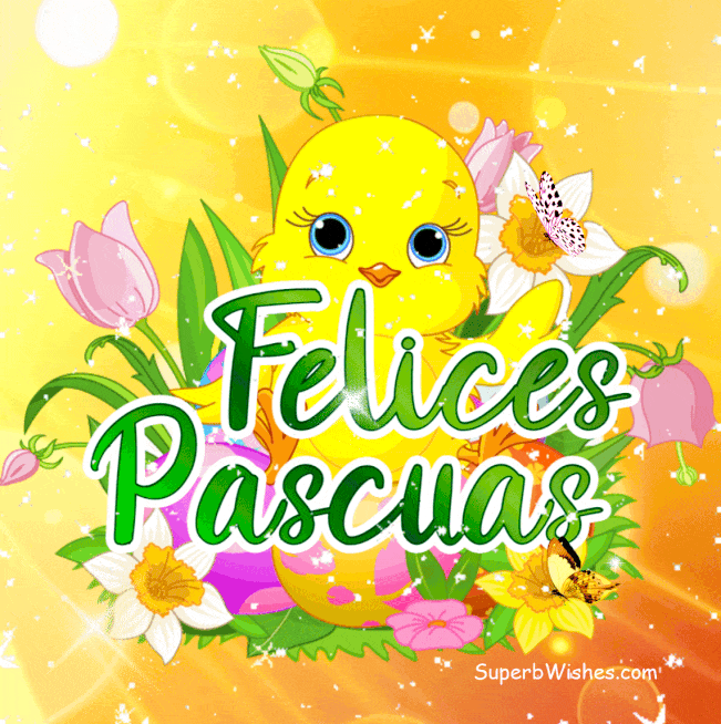 Amarillo Felices Pascuas Pollito Con Flores de Colores GIF