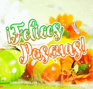 Felices Pascuas Tarjeta de Felicitación GIF Vídeo