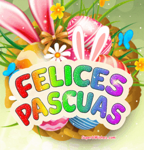 Felices Pascuas Con Huevos Y Orejas De Conejo GIF