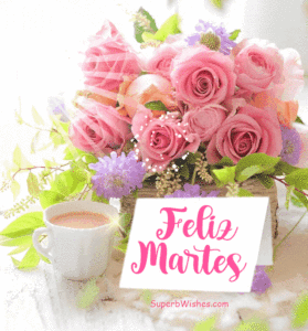 Feliz Martes GIF Con Hermosas Rosas Rosadas