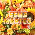 Feliz Martes GIF Animado Con Flores de Colores