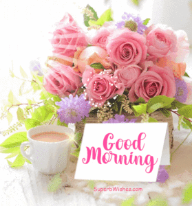 Good Morning GIF With Beautiful Pink Roses