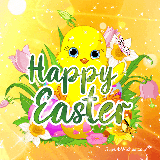 Yellow Happy Easter Chick GIF With Colorful Flowers