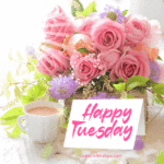 Happy Tuesday GIF With Beautiful Pink Roses