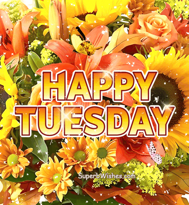 Happy Tuesday Animated GIF With Colorful Flowers