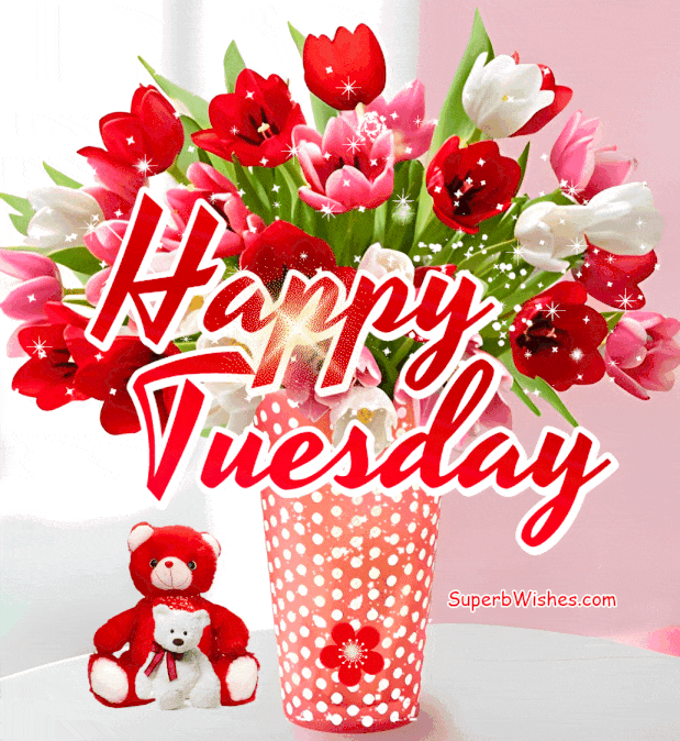 Happy Tuesday GIF With Tulips And A Cute Teddy Bear