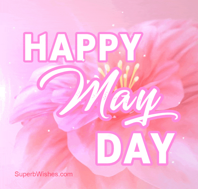1st of May Animated GIF
