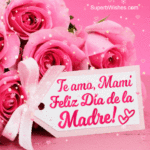 Te Amo, Mami! Feliz Dia de la Madre A Mi Mamá GIF