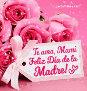 Te Amo, Mami! Feliz Dia de la Madre A Mi Mamá GIF