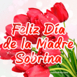 Feliz Día de la Madre A Mi Sobrina GIF