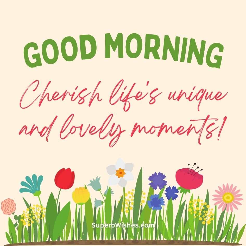 Good Morning Images - Cherish life's unique and lovely moments!