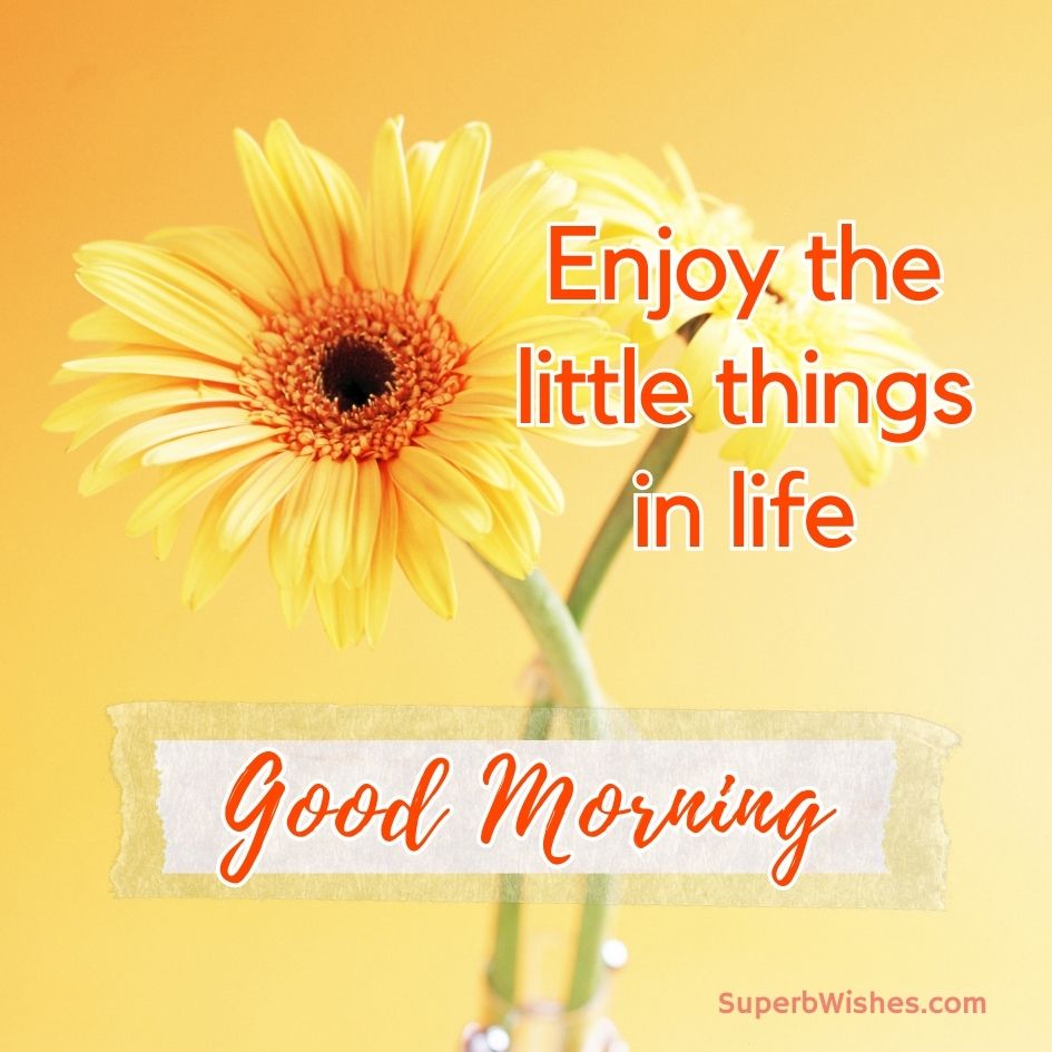 Good Morning Images - Enjoy the little things in life