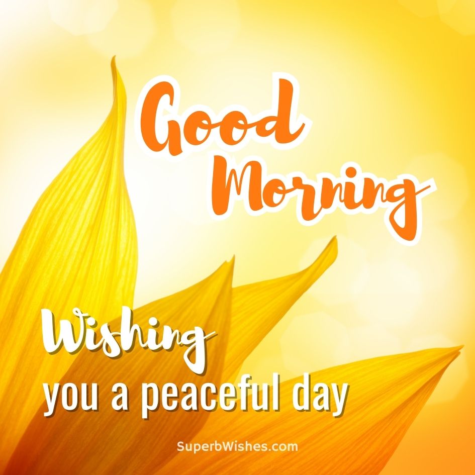 Good Morning Images - Wishing You A Peaceful Day | SuperbWishes.com